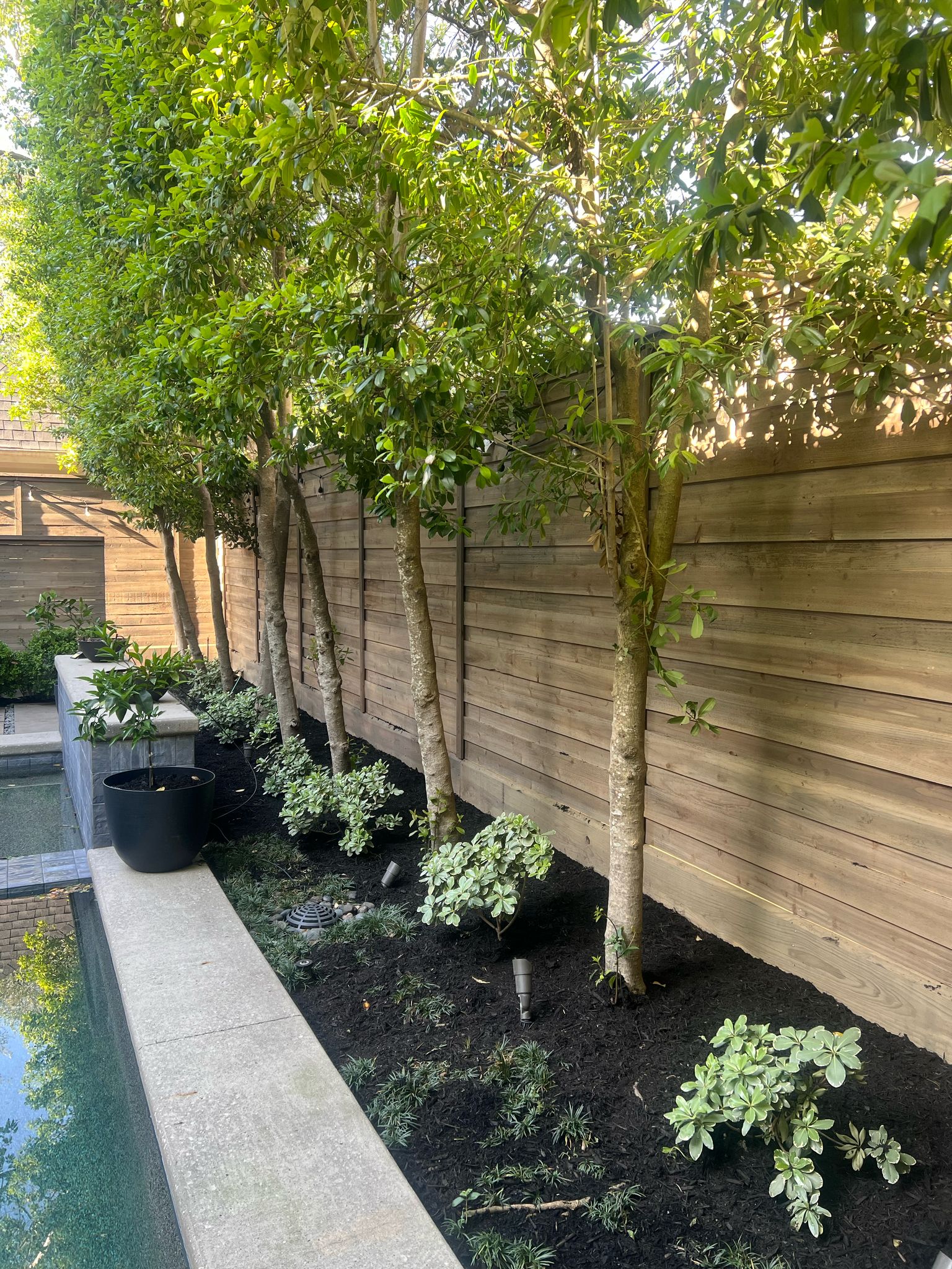 Comments on: Secure Your Sanctuary: Mustang Fencing’s Durable Vinyl Fence Installation in 77021